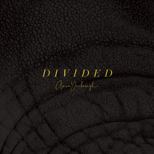 Divided cover art