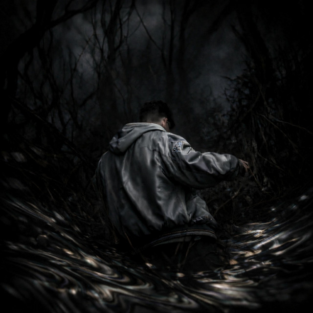 El viaje de vuelta cover art