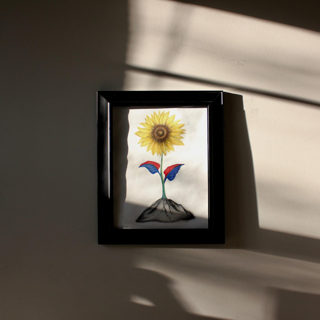 The Sunflower That Grew Out of Rock cover art