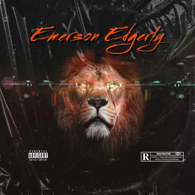 Lions cover art