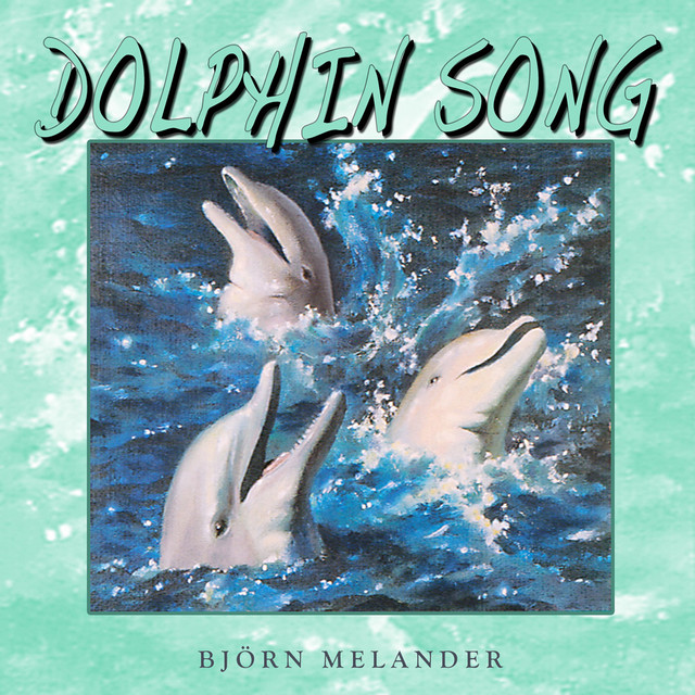 Dolphin Song cover
