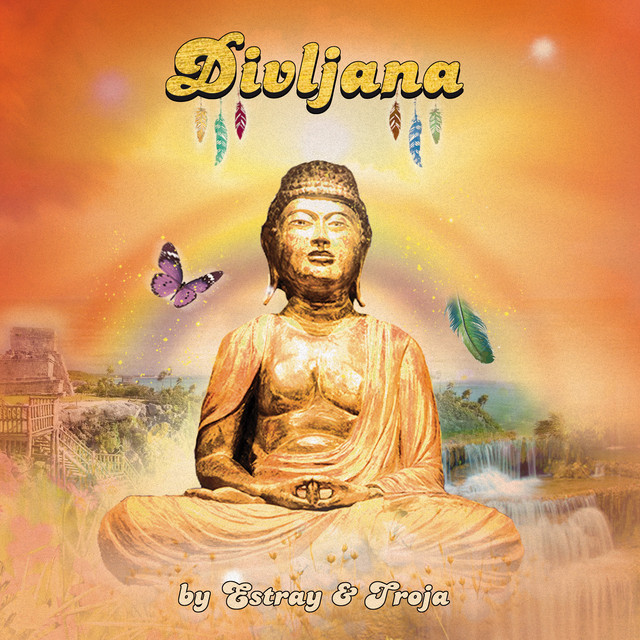 Divljana cover