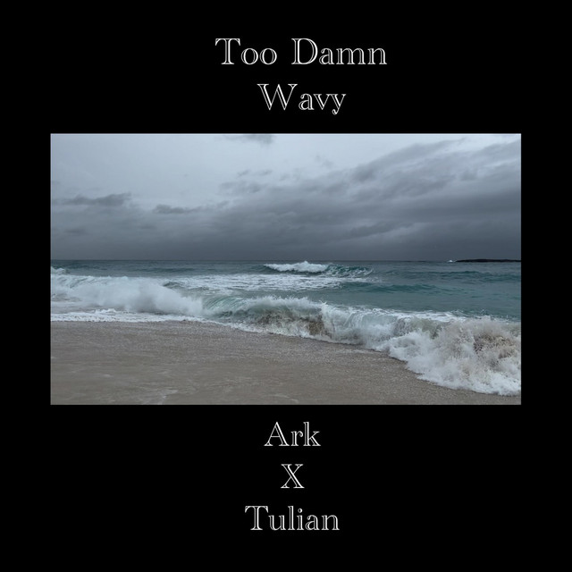 Too Damn Wavy cover art
