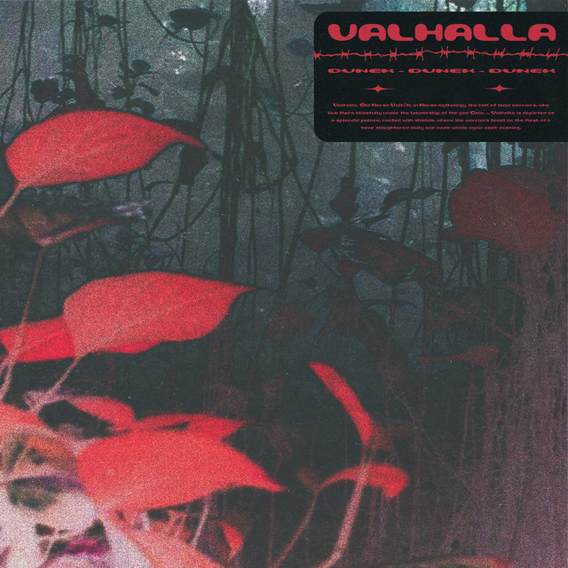 Cover art: VALHALLA — DVNEK