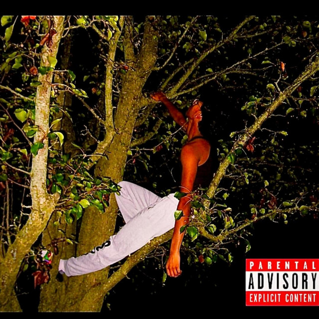 CĦI CĦI CĦI cover art