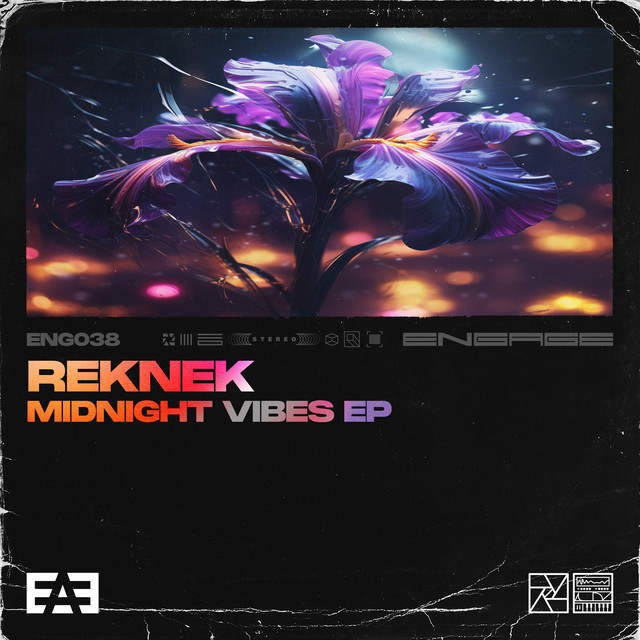 Midnight Vibes album art