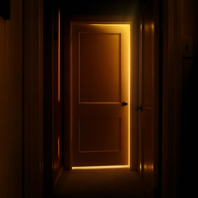 firefly