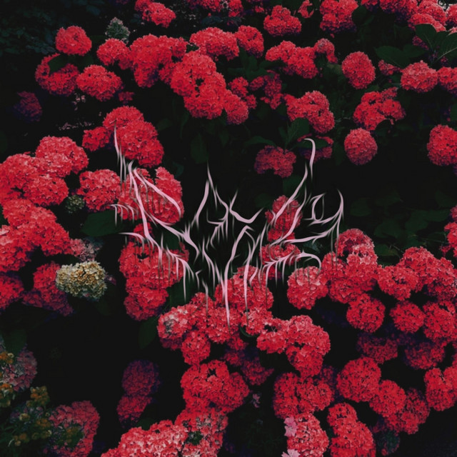 Picking Flowers cover art