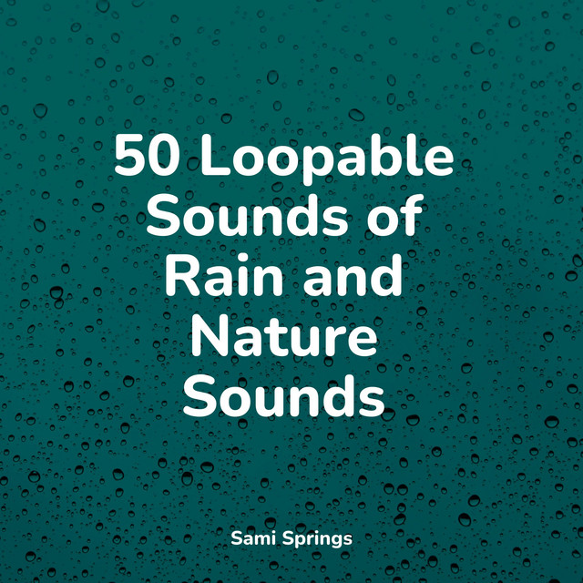 50 Loopable Sounds of Rain and Nature Sounds - Album by Música ...