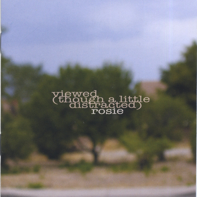 Viewed (though A Little Distracted) cover art