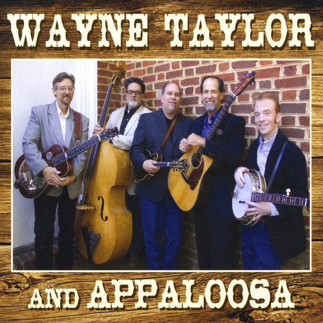 Wayne Taylor And Appaloosa cover art