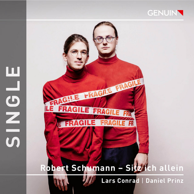 Myrthen, Op. 25: No. 5, Sitz ich allein