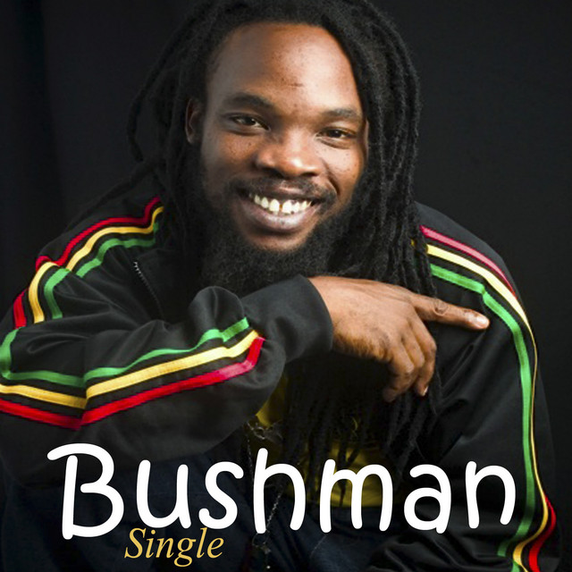 Yes Man - Single by Bushman | Spotify