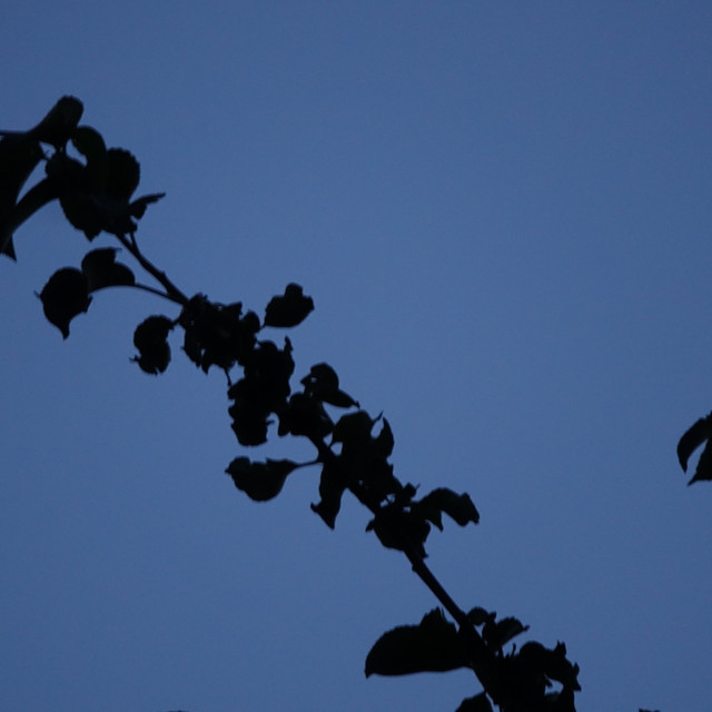 Säätiö Organisaatio Photo