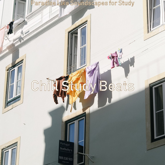 Paradise Like Soundscapes for Study cover art