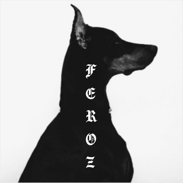 Feroz cover art