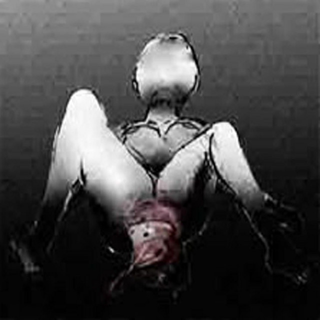 diamant cover cover art