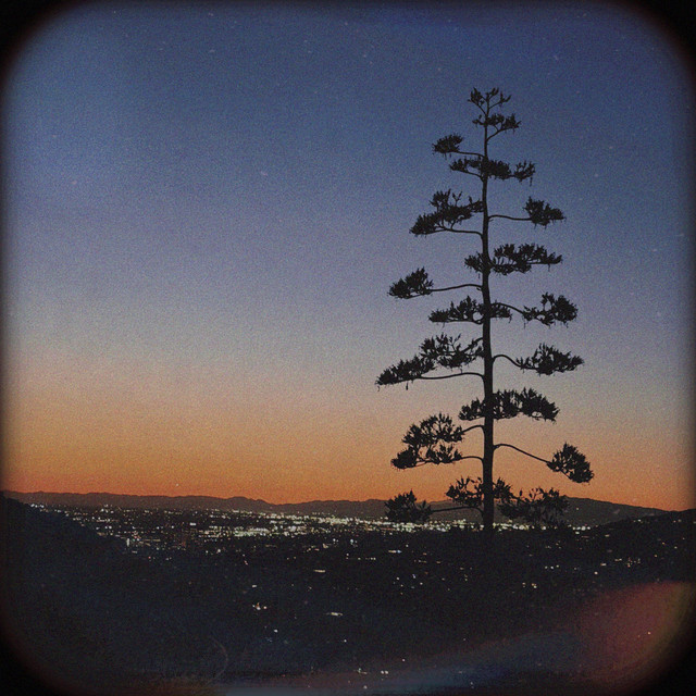 Stargazing