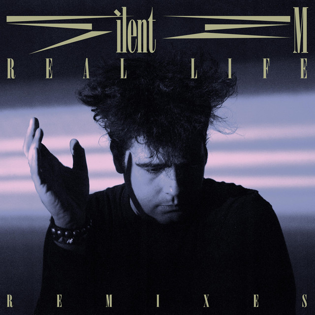 Real Life (Remixes) cover