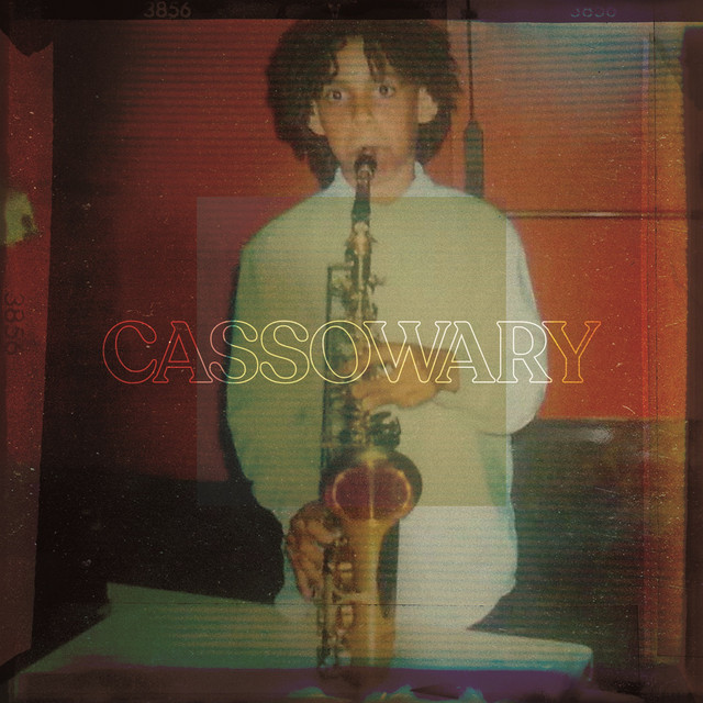 Cassowary cover art