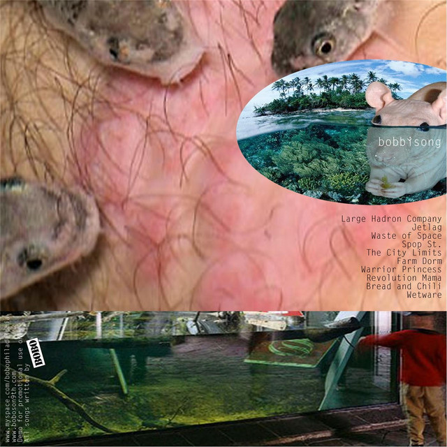 Bobbẏsong cover art