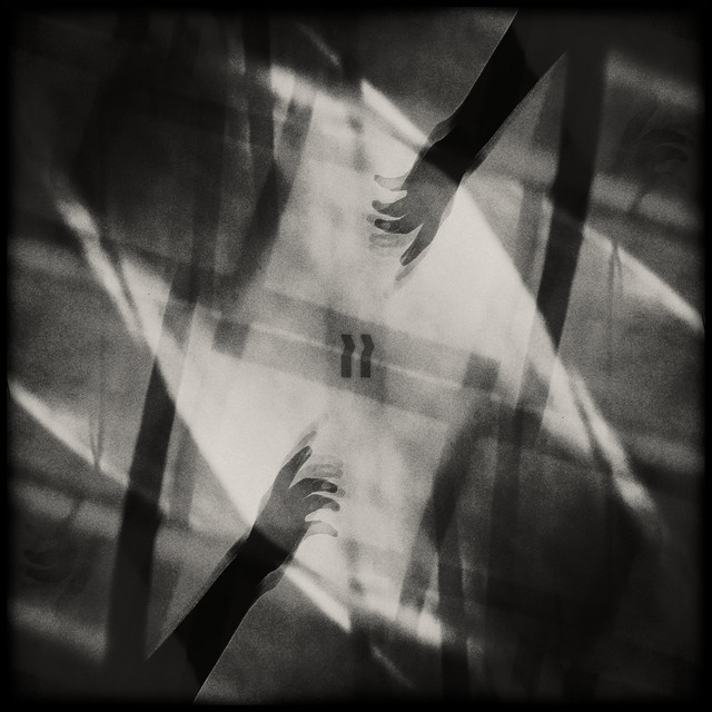 Shadows cover art
