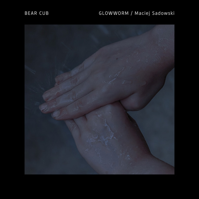 Bear Cub (single)