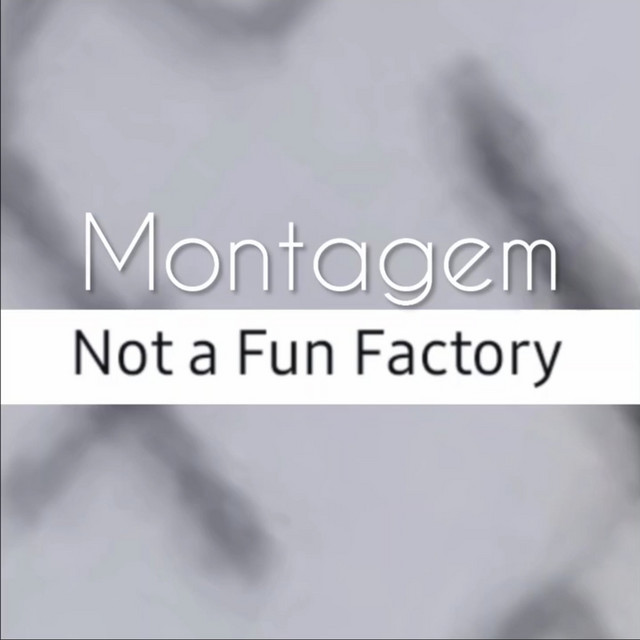 Montagem Not A Fun Factory