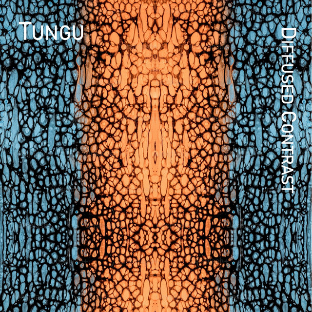 Tungu