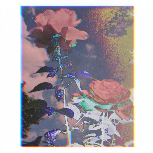 Rosé cover art