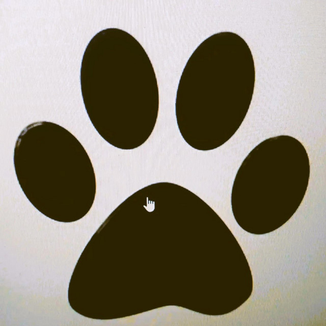 Panja cover art