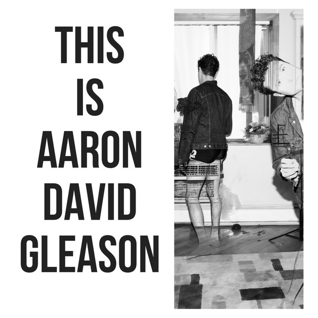 This Is Aaron David Gleason cover art