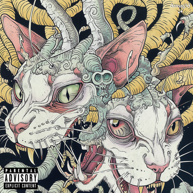 Misunderstood cover art