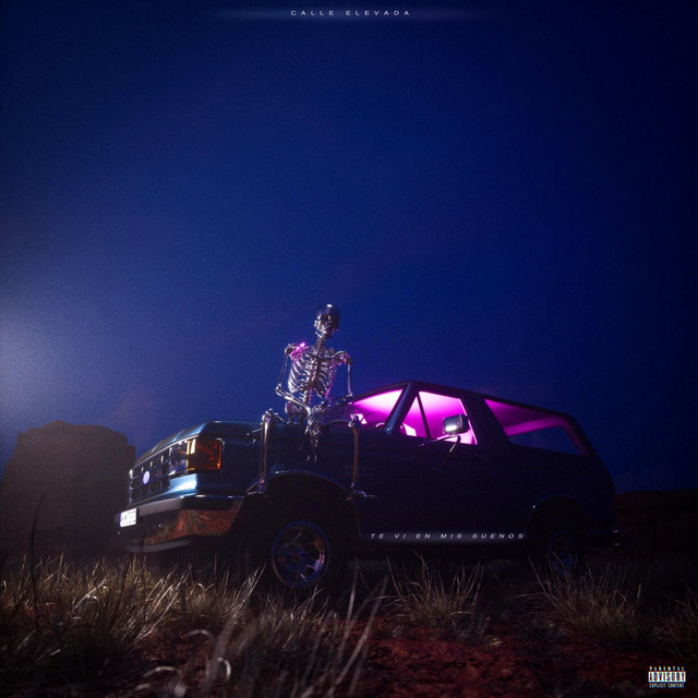 TE VI EN MIS SUENOS cover art