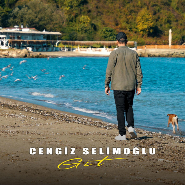 GİT cover art