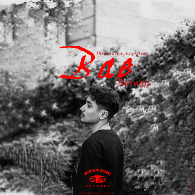 Bae cover art