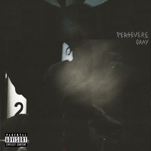 Persevere cover art