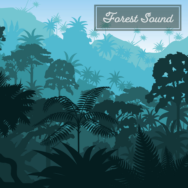 Forest Sound by Night FX