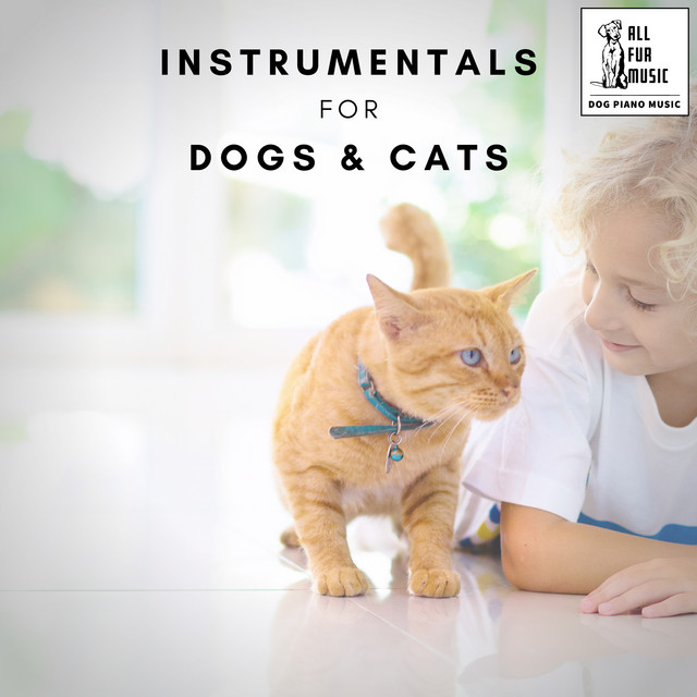 Instrumentals for Dogs & Cats cover art