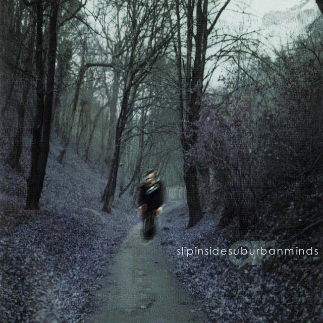 Slip Inside Suburban Minds cover