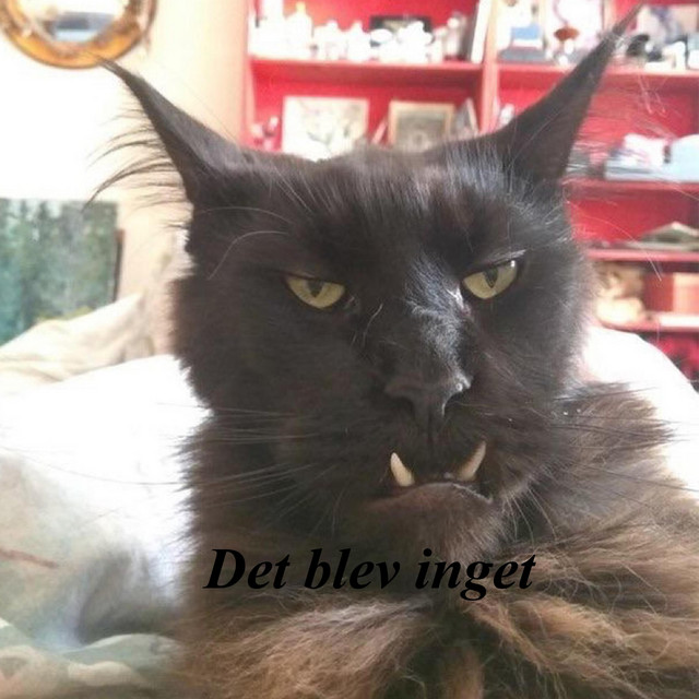 Det som inte blev nåt cover art