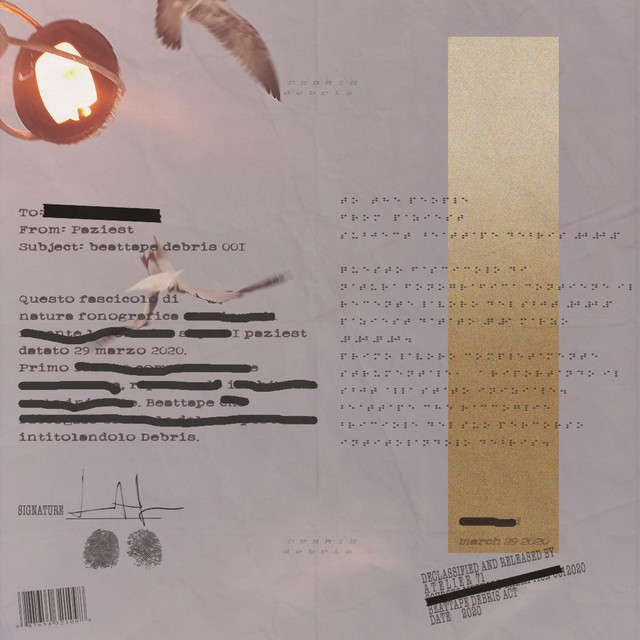 Debris cover art