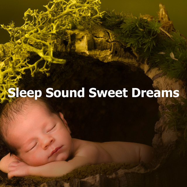 Sleep Sound Sweet Dreams - Album by Baby Sweet Dream | Spotify