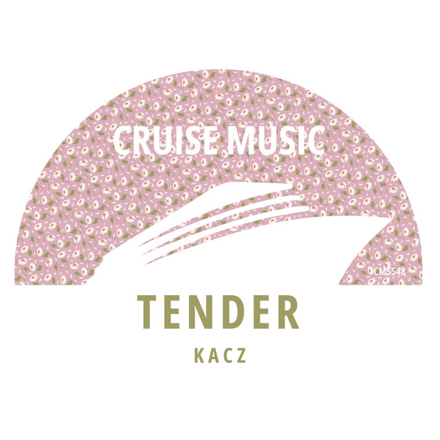 Tender - Extended Mix album art
