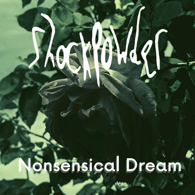 Nonsensical Dream (single)