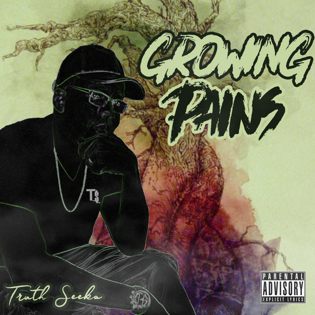 Truth Seeka | Spotify