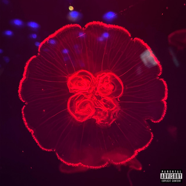 Nano Delux Edition cover art