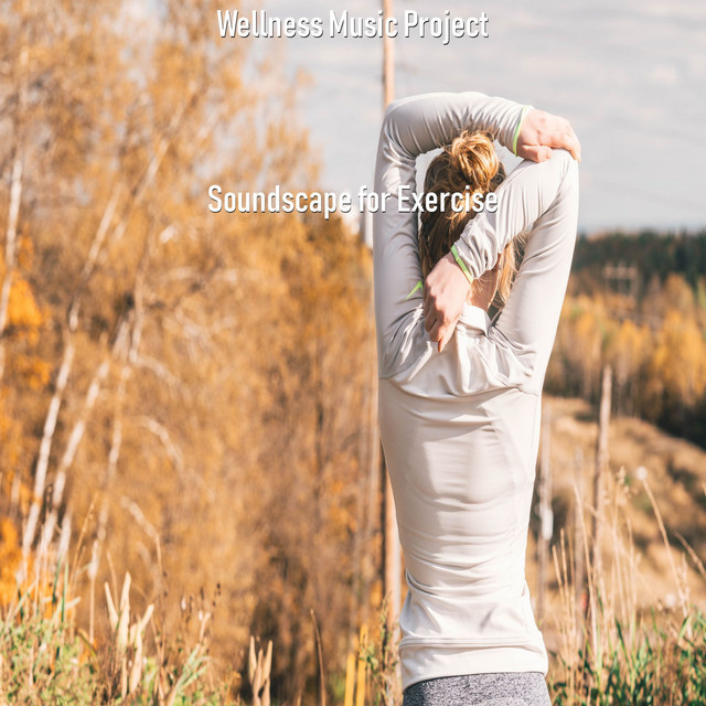 Wellness Music Project | Spotify