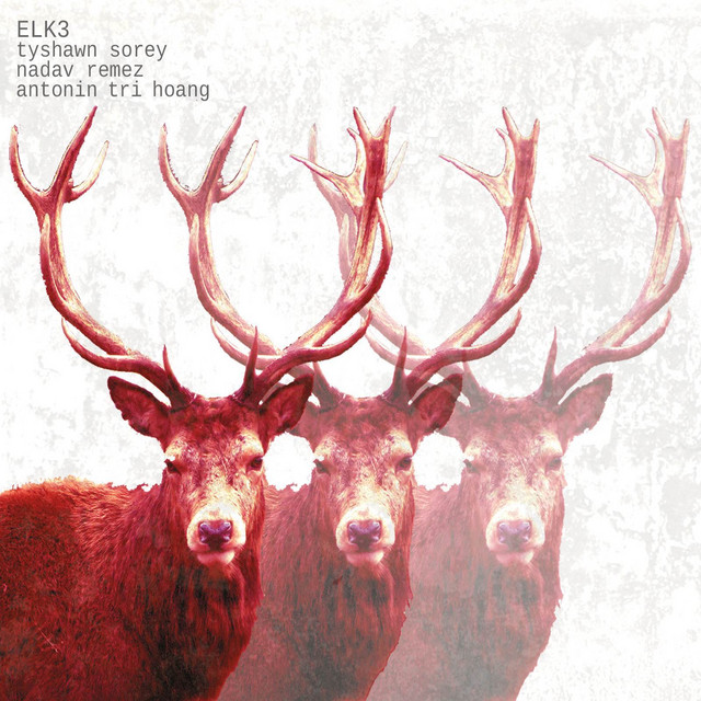 ELK3