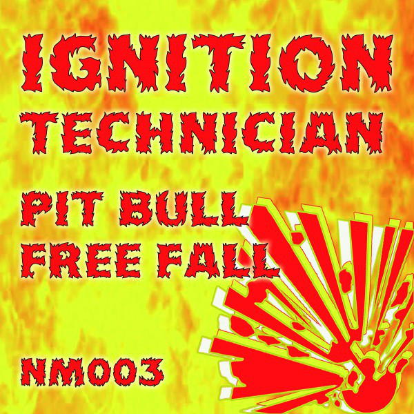 Pit Bull / Free Fall cover